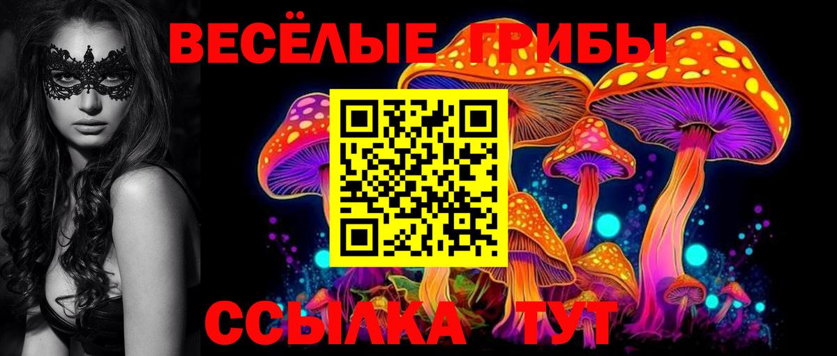 Галлюциногенные грибы GOLDEN TEACHER  Галлюциногенные грибы прущие грибы  Вход с VPN  Богданович 